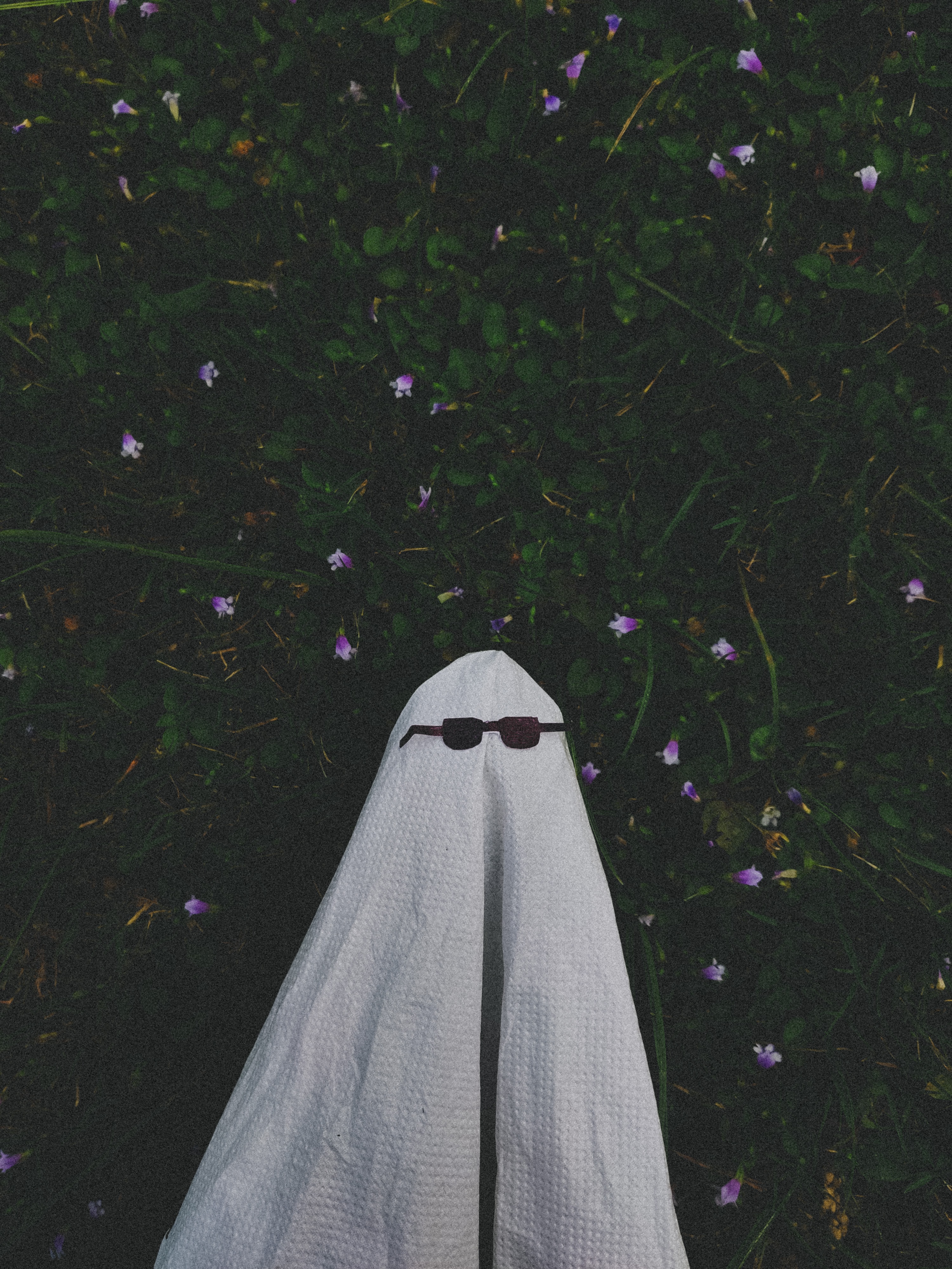 arya-dubey-8eyi8qcefxi-unsplash